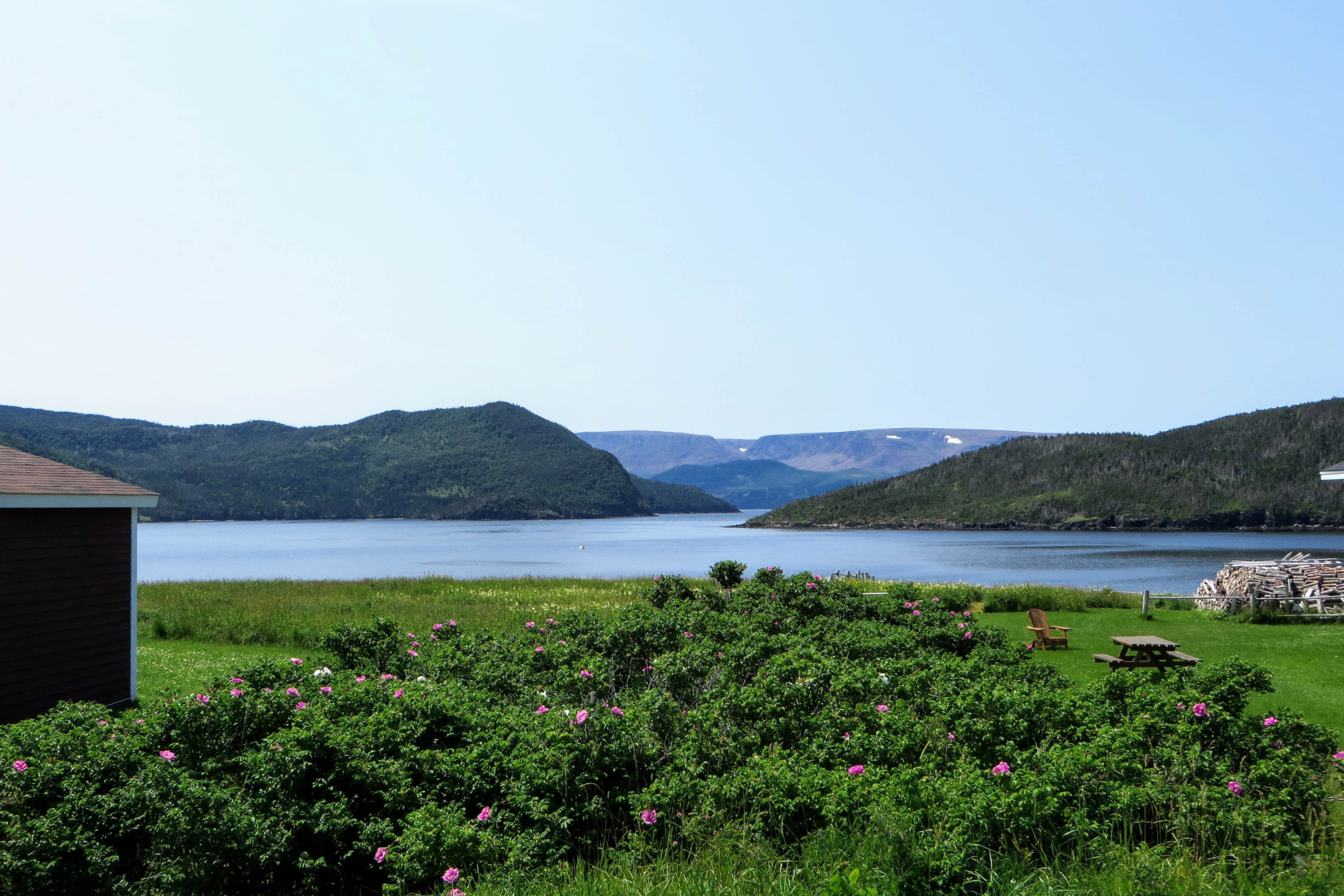 norris point, newfoundland and labrador (4).webp
